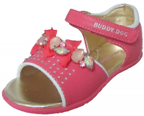 BUDDY DOG 5652 (1)